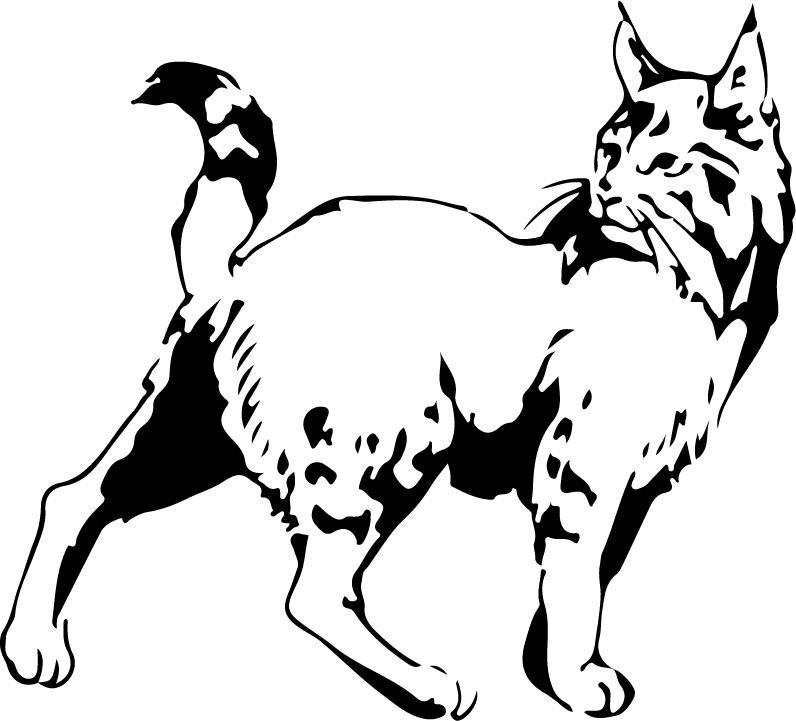 Logo of Kawanishi Shirou