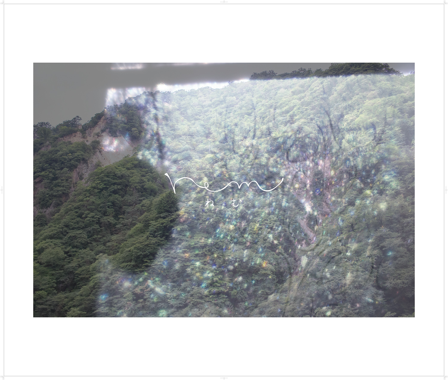 Visual direction of nemu